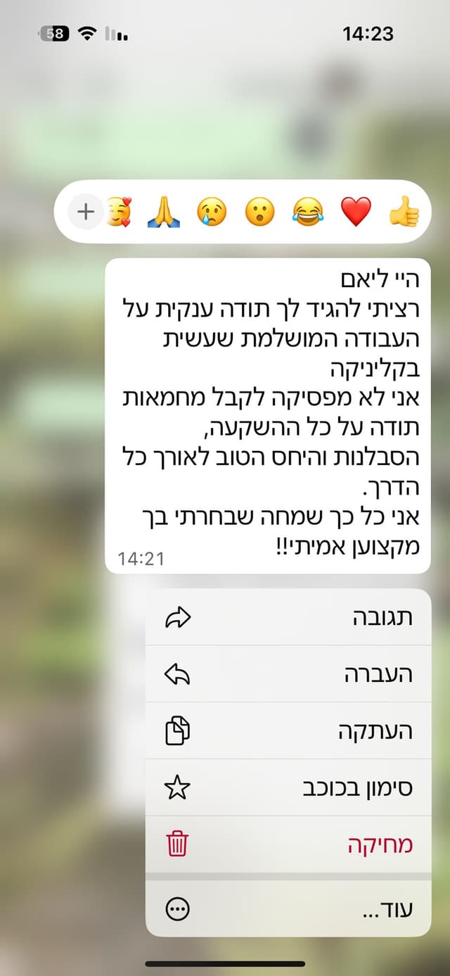 המלצת WhatsApp 1