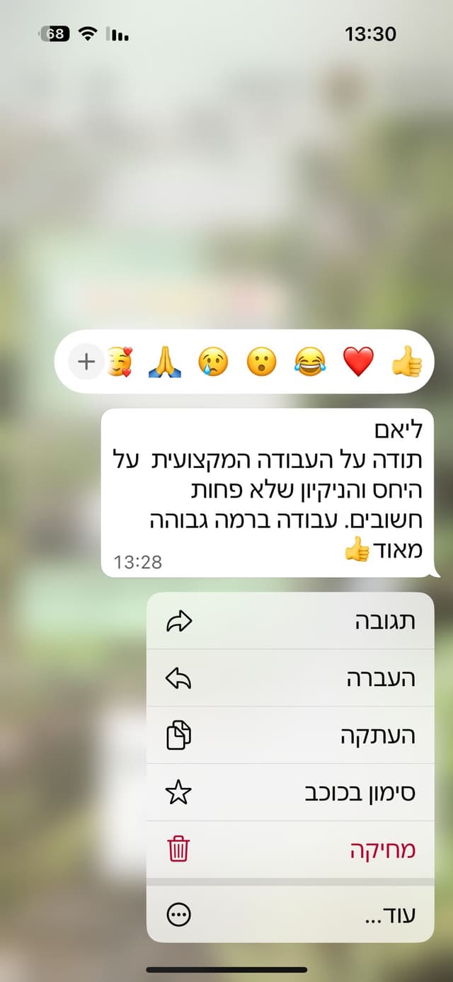 המלצת WhatsApp 3