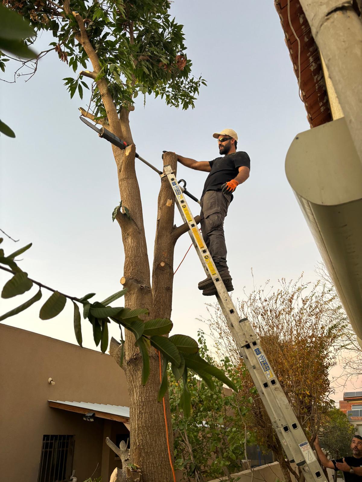 גינון ועבודות עץ